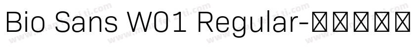Bio Sans W01 Regular字体转换